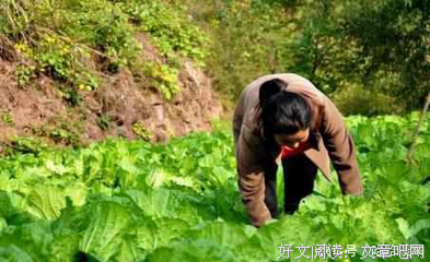 青爷|我有两个儿子，却无处养老
