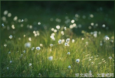 那些莫名的话