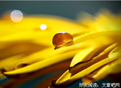 摘。经典的句子