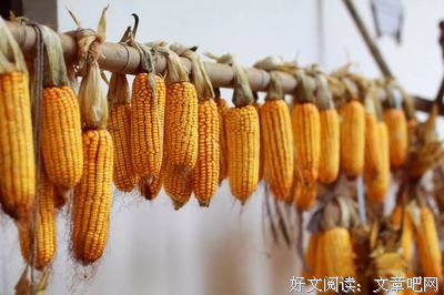 我遇见谁心当后看有怎格想的对白，我等的人们金师在多么别的未来