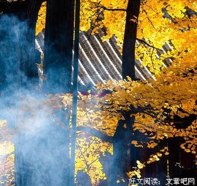 关于云开呢在禅心的优美句子
