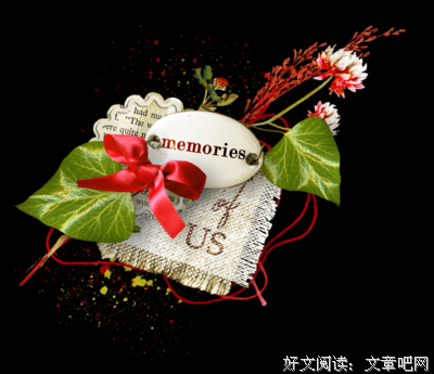 最全的《包法利夫人》经典名句大全