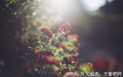 最经典的《恋情的终结》小说句子