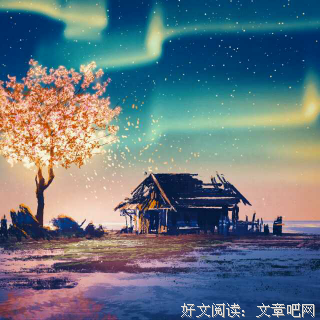 《我亦飘零久》佳句摘抄