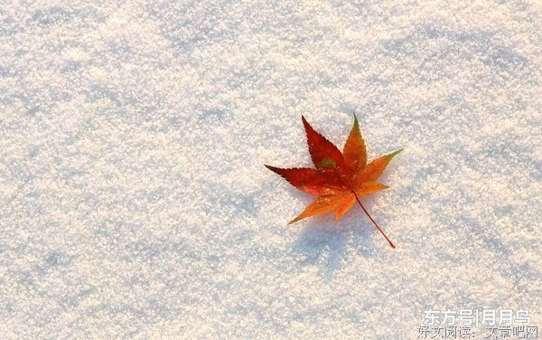 《时间的朋友》经典句子