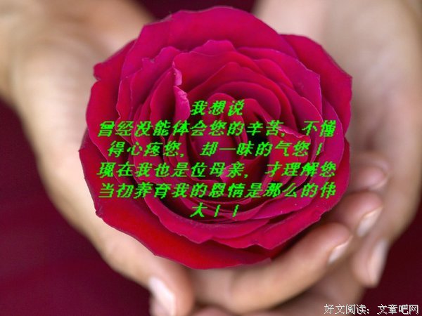 最经典的《沉默的告白》经典的句子大全