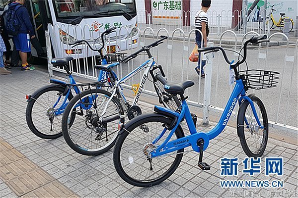 小蓝格言警句