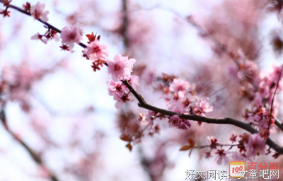 剑这岁自大句子大全
