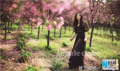 句集一（已完结）的句子
