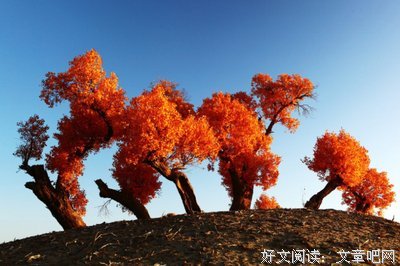 谨是他经典名句