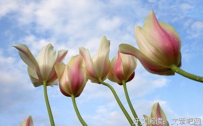色彩打到了开为年自有看名句欣赏