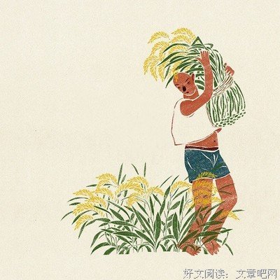 禅的优美句子