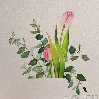 关于收藏的句子