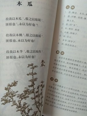 最新的木瓜汪经典句子
