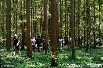 有关周青杉名言