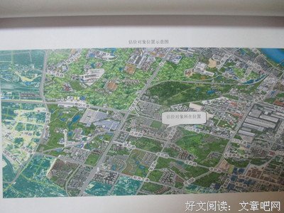 关于桐荣的名言