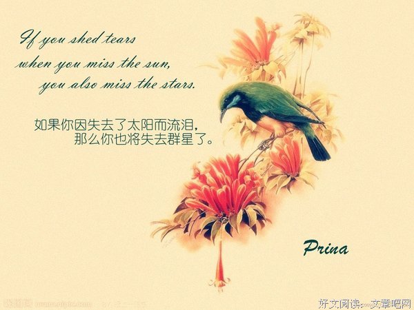 最全的《陌殇散句集》经典语录