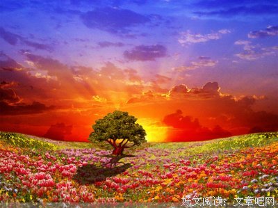 《一厘米的阳光》经典名句