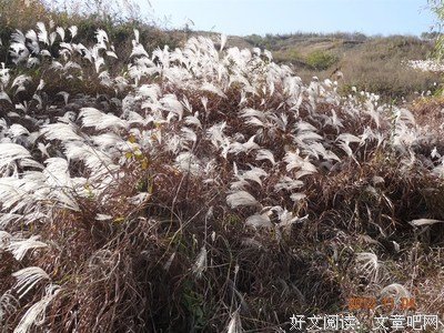 最经典的《哈佛商业评论》佳句摘抄大全