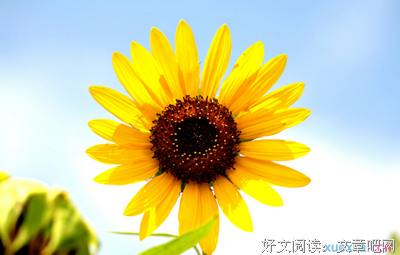 最经典的《来自星星的你》佳句摘抄大全