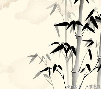 《老子是癞蛤蟆》经典语录大全