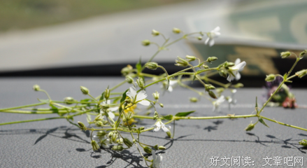最新的《谢谢你离开我》经典句子