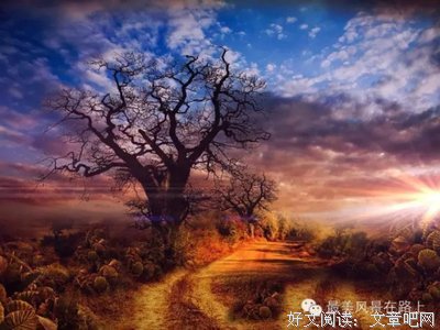 最全的《金色花的秘密》名句欣赏