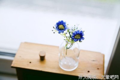 最经典的《亲爱的弗洛伊德》经典语句大全