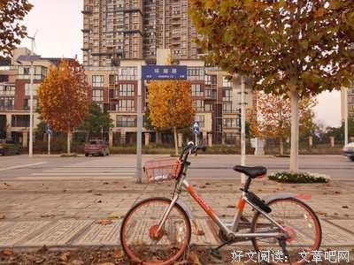 最经典的《只是蝴蝶不愿意》小说句子