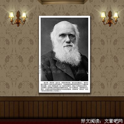 最新的《异常生物见闻录》经典名句