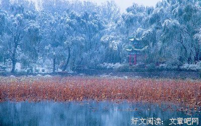 雪茫格言警句