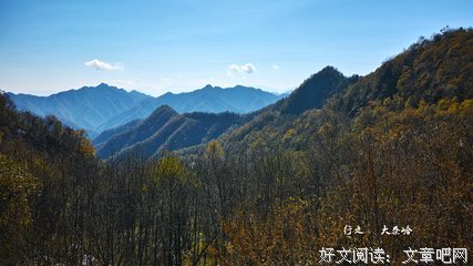 15条关于柳碧的经典语句