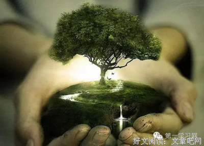 努力过，就应该无怨无悔