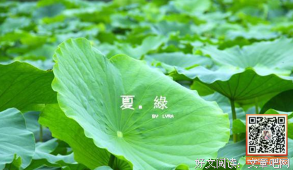 鼎一优美的句子