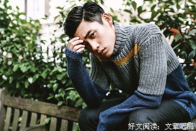 魏晨的优美句子