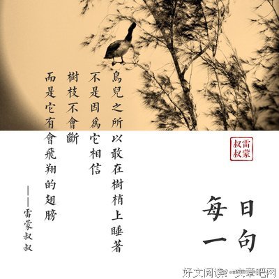 收集美句的优美句子
