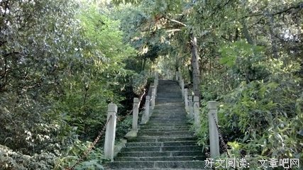 关于永来西真的家的把毛的句子
