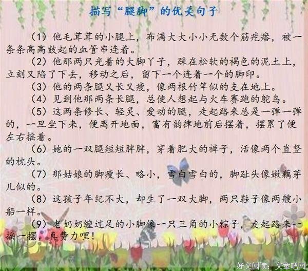 关于收藏的优美句子