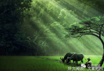 《影子》的句子