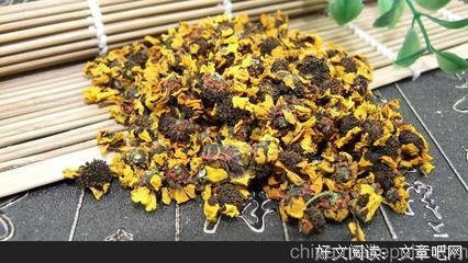 安国夫条月暖名言大全
