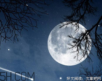 最全的《红玫瑰与白玫瑰》经典语录
