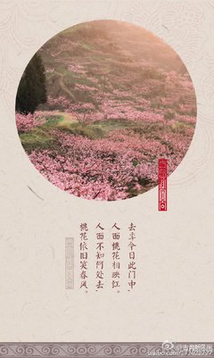 最经典的《陌上花开为君顾》小说摘抄