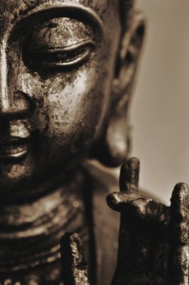 最经典的《因为懂得所以慈悲》经典的句子