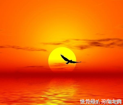 最新的《如果巴黎不快乐Ⅲ》经典句子