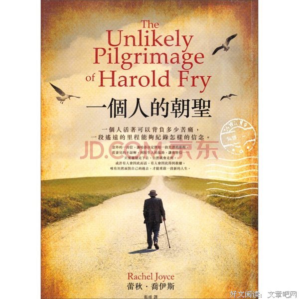 《我不愿让你一个人》佳句摘抄