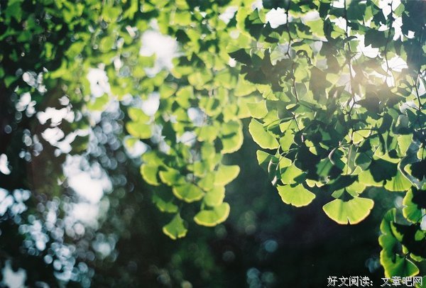 《我想和你互相浪费》经典名句