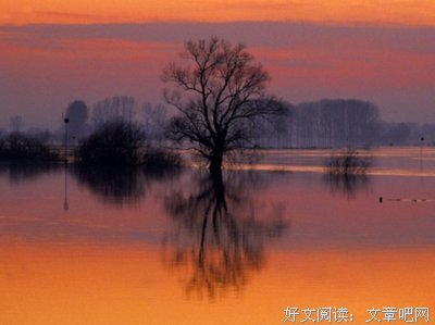 最全的《岁月静好 现世安稳》经典名句