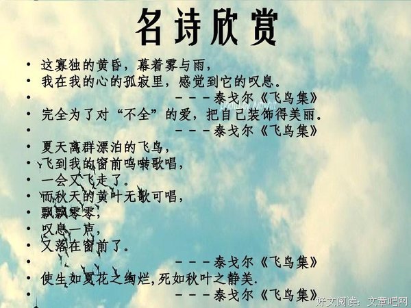最经典的《你的孤独，虽败犹荣》经典名句
