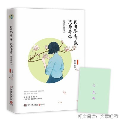 最全的《你若安好，便是晴天》经典的句子
