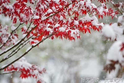 大雪︱十首冬雪词，诉尽了人间悲欢！